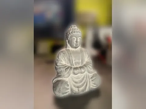 Buda Sentado, foto do projeto original