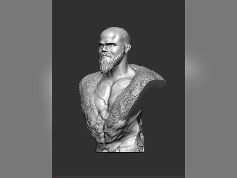 Busto de Viking, foto do projeto original