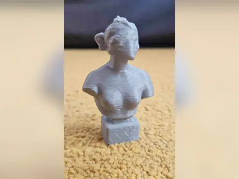Vênus de Canova, foto do projeto original