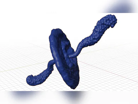 Nebulosa do Caranguejo em 3D, foto do projeto original