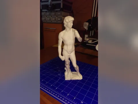 Davi de Michelangelo, foto do projeto original