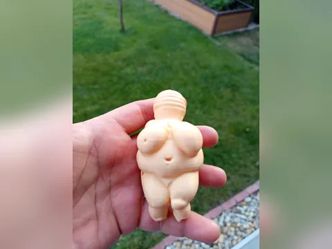 Vênus de Willendorf, foto do projeto original